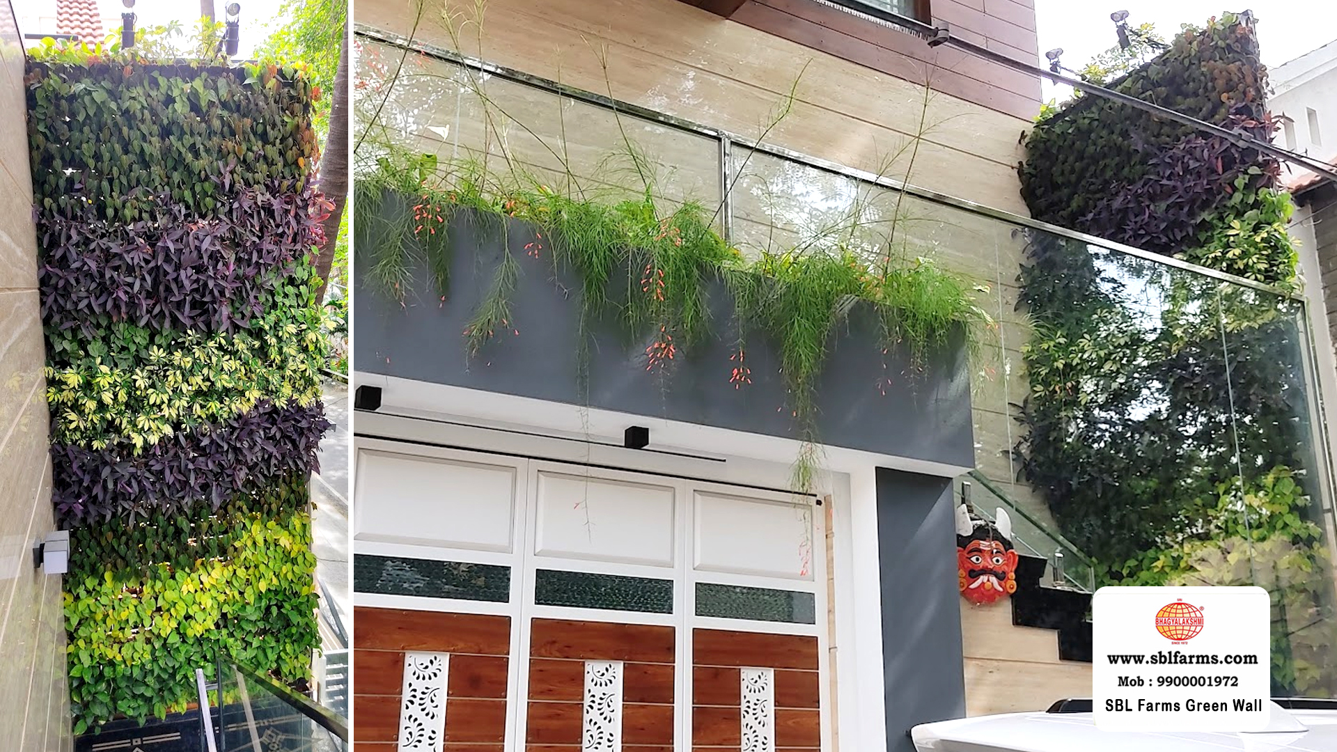 Sbl Farms Green walls and Living walls, Vertical Garden, Bio Curtains,Green wall or vertical garden design for home in bangalore